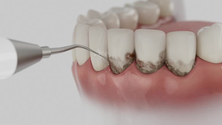 Reliable Dental contractor in Athens, WV by Dentist Open Now